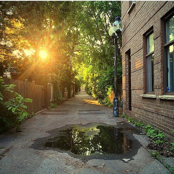 Meet your Posher, Nour - Picture 1 of 1